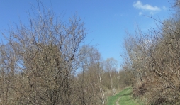 Vélostrade de Houffalize à Taverneux