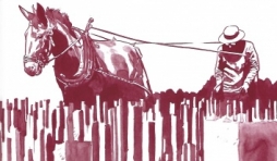 Liber Pater. Le Goût du vin retrouvé.