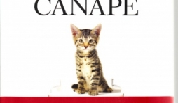 Un lion sur le canapé. Par Abigail Tucker