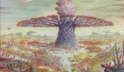 Colonisation - Tome 3. L'arbre matrice.