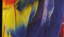 Jours de dèche, de DELOME Didier