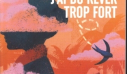 J'ai dû rêver trop fort, le nouveau roman de Michel BUSSI