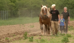 "Qu'est-ce qu'on attend?", à Bruxelles, Charleroi, Liège et Namur