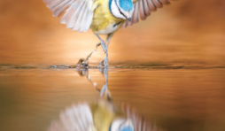 22ème "Nature-Namur", 14 - 23 Octobre