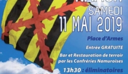 Championnats du Monde de Lancers de Drapeaux, à Namur, le 11 Mai