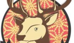 5èmes « Chambres avec Vues », à Namur, les 24 et 25 Mars