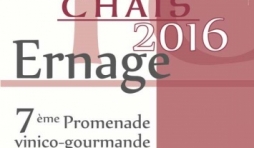 "Tour des Chais", à Ernage, 15 et 16/10