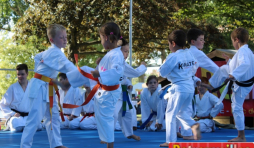 Démonstration de karaté © "Retrouvailles"/"Enjeu"