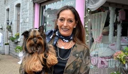 photo Haute couture pour chien