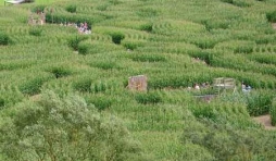 Labyrinthe de Barvaux sur Ourthe - 9853