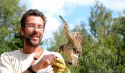 Rapace au Sunparks de Vielsalm-9915