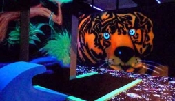 Goolfy mini golf indoor