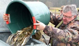 vidange Etang Wardin