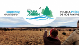 WASA.GREEN. Les petits ruisseaux font les grandes rivieres