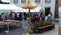 video01-gite ,Ferme, Chatelains, Gouvy.