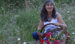  Françoise Gabriel Nos plantes sauvages  Comment les récolter, les cuisiner et les utiliser en remèdes 