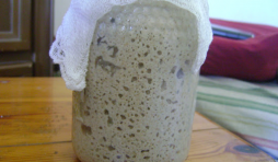 Chaque village avait son propre levain, et le goût du pain n’était pas le même d’une région à l’autre.