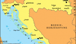 Les oliveraies de Lun Les oliveraies de Lun