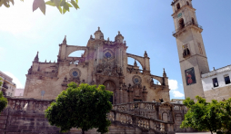 La cathédrale de Jerez de la Frontera  ( photo : F. Detry )