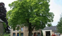 My ( Ferrieres / prov. de Liege )