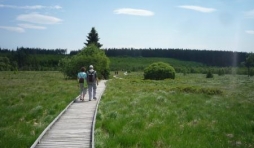 Les caillebottis avant l'incendie