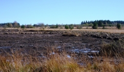 Projet LIFE dans les Fagnes ( 2009 )