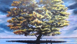 Exposition « Reflets » : Continuer le dialogue        