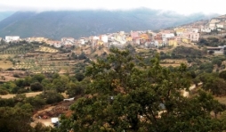 Le village d'Orgosolo