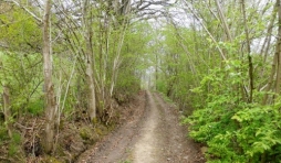 Marche des 12 et 13 juillet