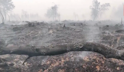 Incendie dans les Hautes Fagnes