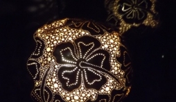 Art et lumiere ( Olivier KRUFT )