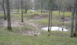 Traces des impacts d'obus