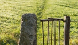 Cantons de l’Est: Les visiteurs étaient nombreux au rendez-vous des fêtes de fin d'année