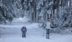 Malmedy   Bilan des Hivernales 2014 ( 1ère partie )