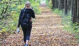 Sur le chemin à remonter le temps : Les sentiers que nous foulons ont une histoire et des historiens