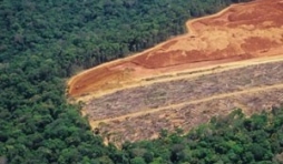 L’écologie à tout prix … et les revers de la médaille !