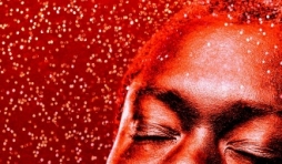 Un monde beau, fou et cruel de Troy Blacklaws  Editions Flammarion.