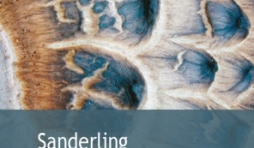 Sanderling de Anne Delaflotte Mehdevi  Editions Gaia.