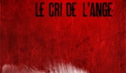 Le Cri de l’ange de C.E. Lawrence  MA Editions.