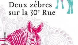 Deux zèbres sur la 30è rue de Marc Michel Amadry  Editions Héloïse d’Ormesson.