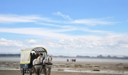 Baie de Somme