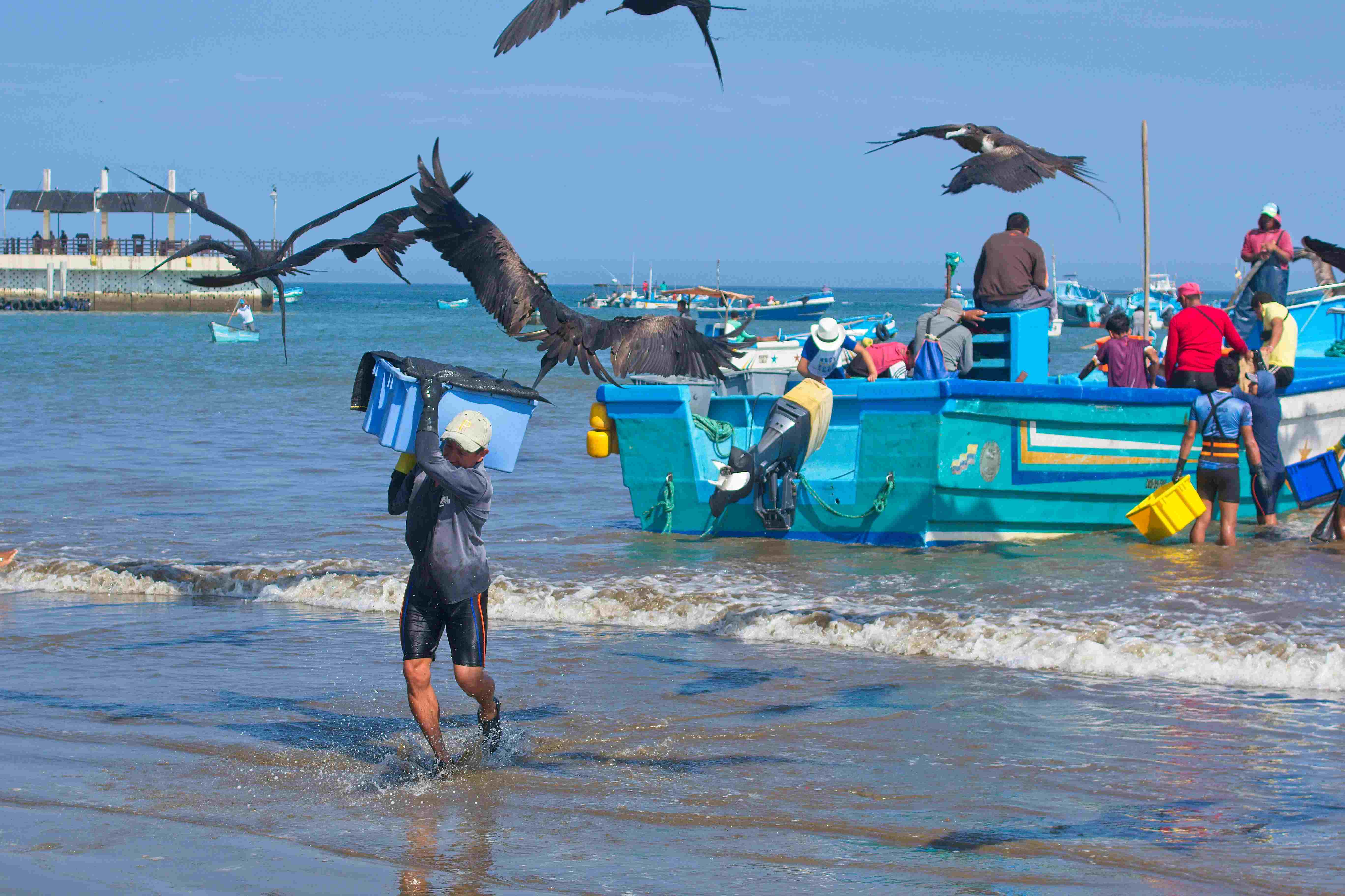 © Lynda Paquet & Martin Parent