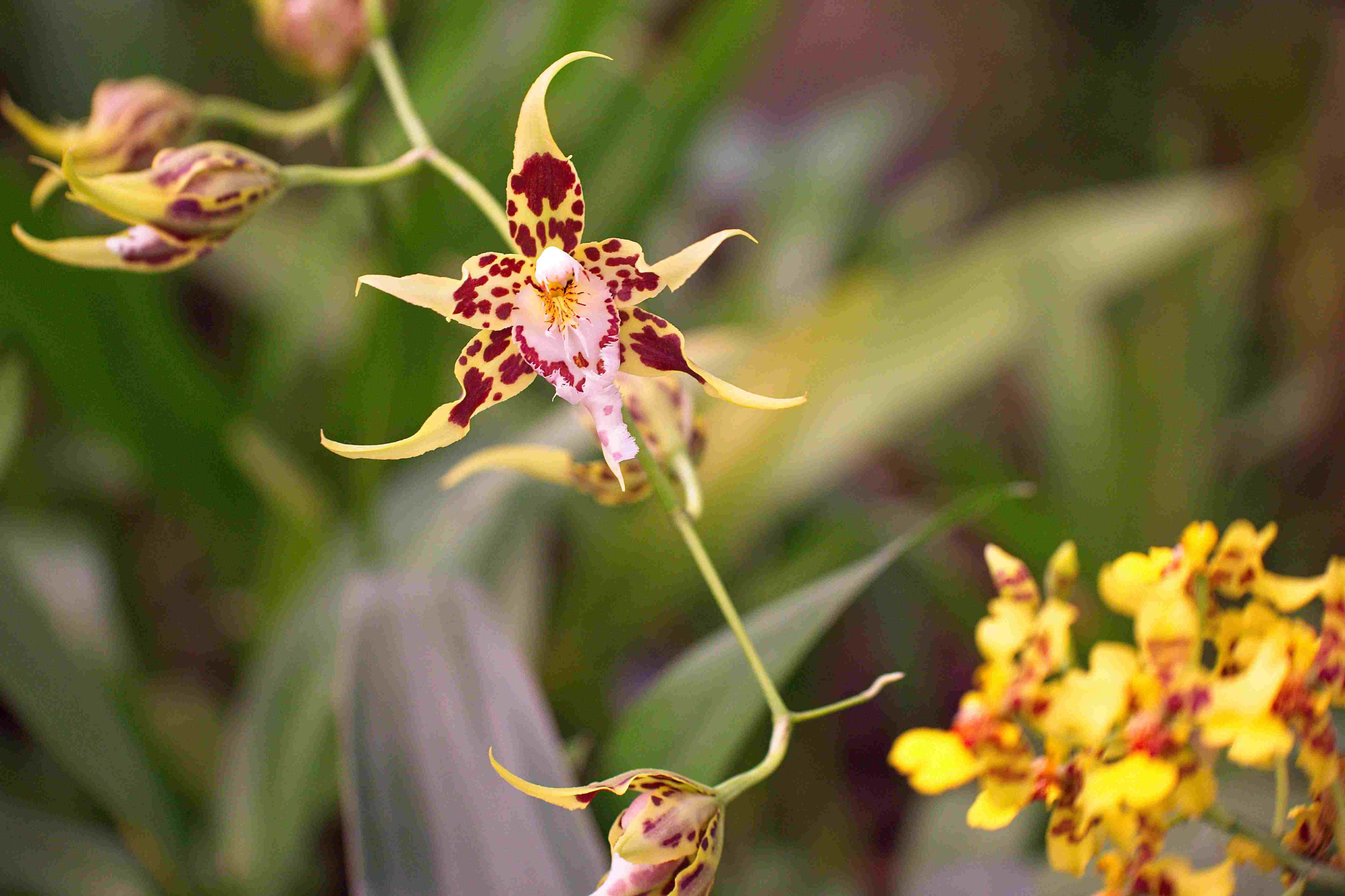 © Lynda Paquet & Martin Parent