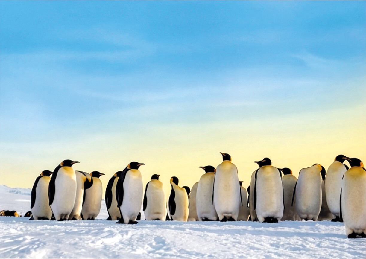 © « SONUMA »/« Exploration du Monde »