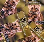 Catalogues-Programmes gratuits © « FINN »
