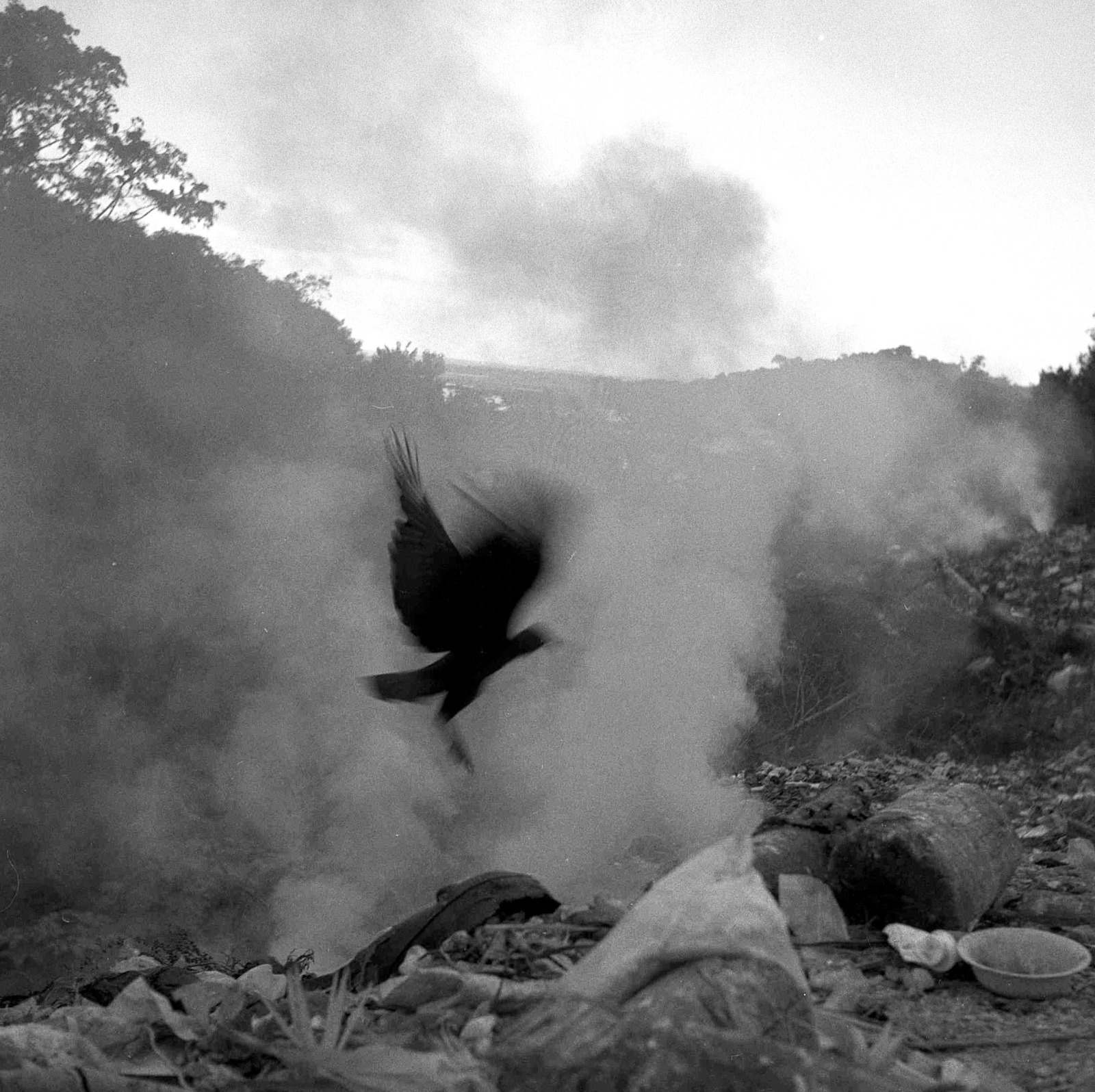 © Jean-Marc Wull