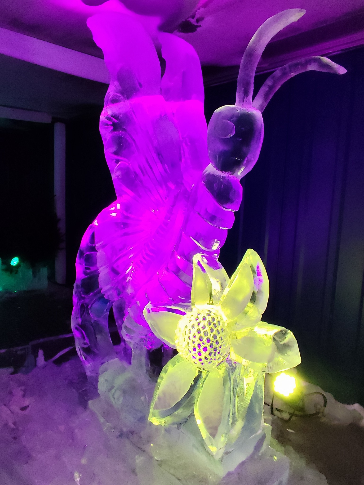 « Ice World » ⓒ Photo : Murielle Lecocq