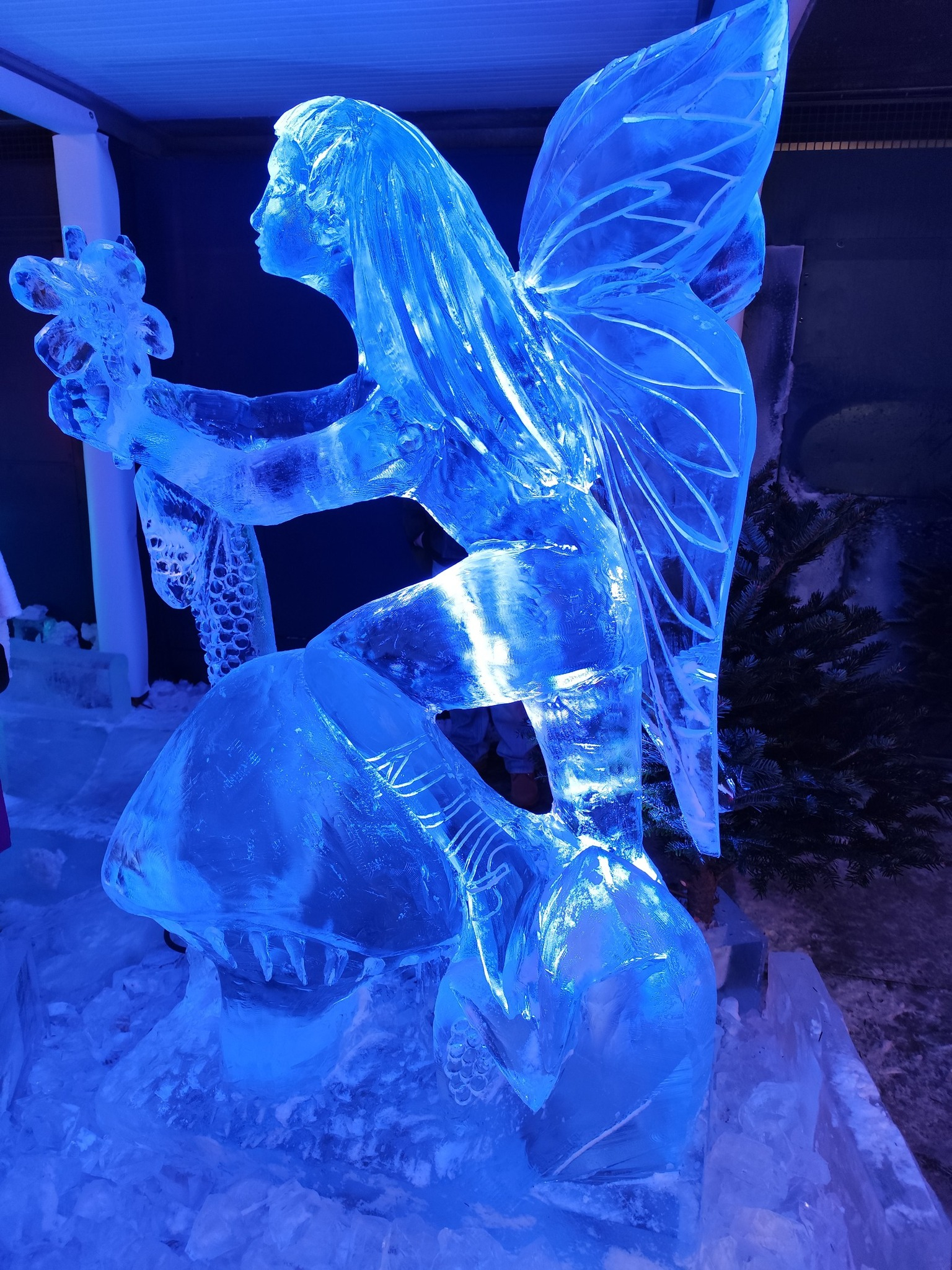 « Ice World » ⓒ Photo : Murielle Lecocq