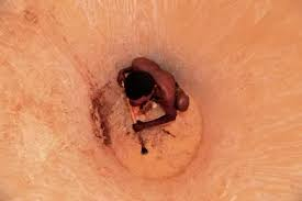 Cette image a un attribut alt vide ; le nom du fichier est trees_b_27_baobab_oui.jpg