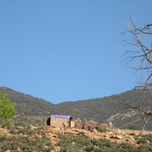 Habitation berbère